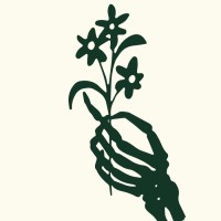 Dreams Never Die Records logo - Similar company to Monogon Se