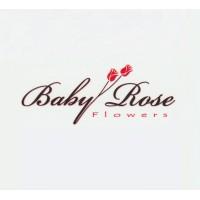 Babyroseflowers logo - email format related to Oleander Group