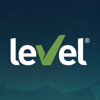 Level Group BR logo - Similar company to Leverage+ Management Consulting