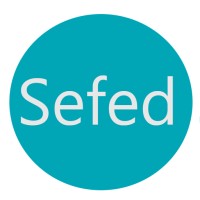 Sefed Systems logo - Similar company to Forcelink