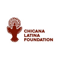 Chicana Latina Foundation logo - Similar company to Delores Digital