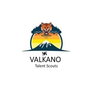 Volkano Talent Scouts Pvt Ltd logo - Similar company to Visa Executive