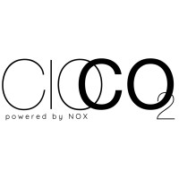 CIOCO2 - a network for a sustainable future logo - Similar company to Digitaliseringskonsulterna