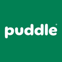 Puddle Magazine logo - Similar company to The Mama Chapter