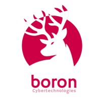 Boron Cybertechnologies logo - Similar company to Juniper Labs Ng