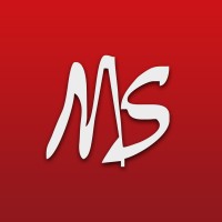 Modelstone logo - Similar company to Alta Concept