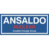 Ansaldo NES logo - Similar company to Pathway Global