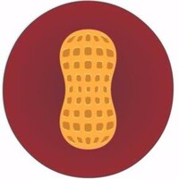 Central de Amendoim LTDA logo - Similar company to Peanut Tech - Hackathon Do Amendoim 📲🥜