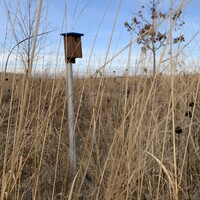 Mequon Nature Preserve