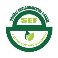Somali Environmental Forum logo - Similar company to Beco