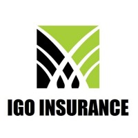 IGO Insurance Agency logo - Similar company to Oklahoma Insurance Professionals Llc