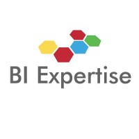 BI Expertise logo - Similar company to Pluvega