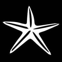 Starfish logo - Similar company to Pc Bees