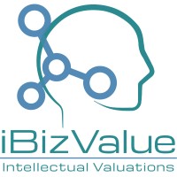 iBizValue logo - Similar company to Mcsc Consulting
