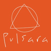 Pulsara Desenvolvimento Humano logo - Similar company to Oser