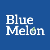 Blue Melon Ltd. (HK) logo - Similar company to It School 
