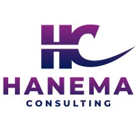 Hanema Consulting logo - Similar company to Accezz