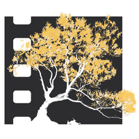 Impeccable Pictures logo - Similar company to Bt Studio