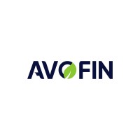 AVOFIN logo - Similar company to Loanegyzer
