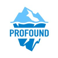 Profound Online Marketing logo - Similar company to Smile Secure One Click