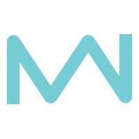 Master Network FSS logo - Similar company to Nab Tech.Cont