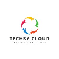 Techsy Cloud logo - Similar company to It Solutioner