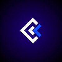 Flesch Tech logo - Similar company to Twins Software