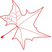Apice Arquitectura y Construcción logo - Similar company to Bimtegra Servicios De Consultoría