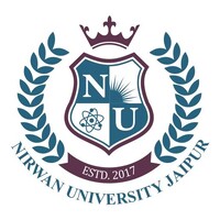 Nirwan University Jaipur logo - Similar company to Bhartiya Skill Development University