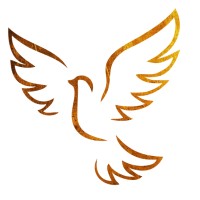 Sara Janion Notary Public