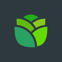 CabbageSoup logo - Similar company to Feature Tech Services