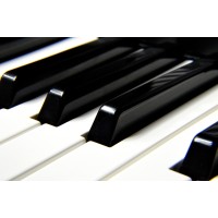 Sam's Music Studio logo - Similar company to Ledaudio