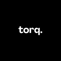 TorqAI logo - Similar company to Audienta.Ai