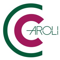 Caroli s.a.s | Agenzia di Enel Energia logo - Similar company to Esa-Tech  Centro Tim - Spazio Enel
