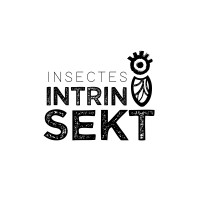 Insectes intrinsekt logo - Similar company to Ffpidi Fédération Française Des Producteurs Importateurs Et Distributeurs D'Insectes
