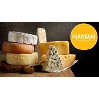 Filiuskaas logo - Similar company to Bronder Group®