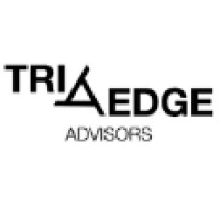 Tri Edge Advisors logo - Similar company to D2D Consulting