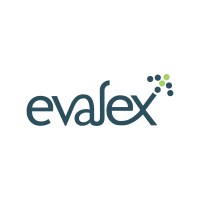 Evalex Talent Solutions logo - Similar company to Shine