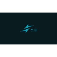 MIB Securitizadora logo - Similar company to Starsoft