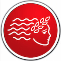 American INSIGHT logo - Similar company to Xequals Studio