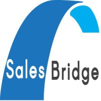 SalesBridge.in logo - Similar company to Salesbridge Llc