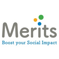 Merits.vision logo - Similar company to Esgmax