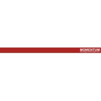Management Momentum, S.L.
