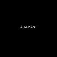 ADMNT, LLC logo - Similar company to Blockchain Smart Solutions