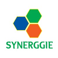 Synerggie logo - Similar company to Pro Solutions And Services