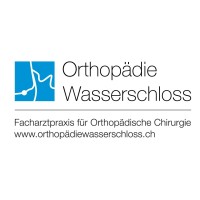 Orthopädie Wasserschloss logo - Similar company to Impuls Surental©