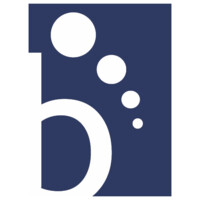 Brightus logo - Similar company to Integrity And Values