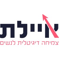 Ayeletech - Boutique Web Development Studio