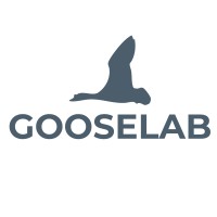GOOSELAB logo - Similar company to App Per App Srl