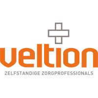 Veltion logo - Similar company to Tri-Torque Technology (Ttt)